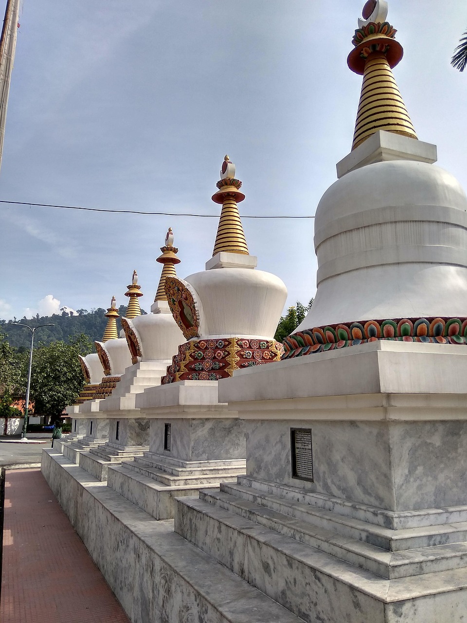 美國失蹤女生最新動(dòng)態(tài)揭秘