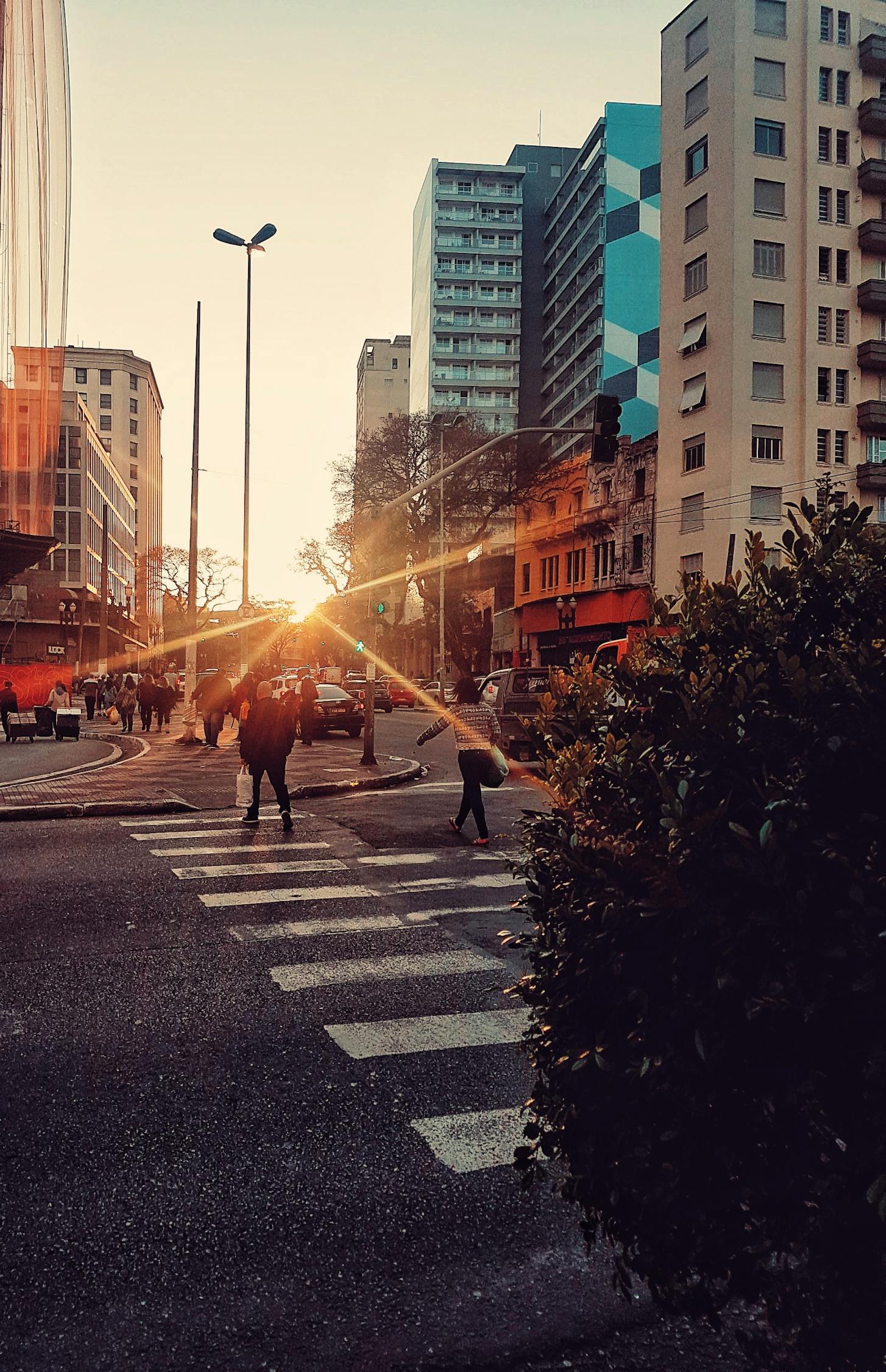 漯河市西城區(qū)繁榮崛起，城市新篇章揭秘發(fā)展動態(tài)