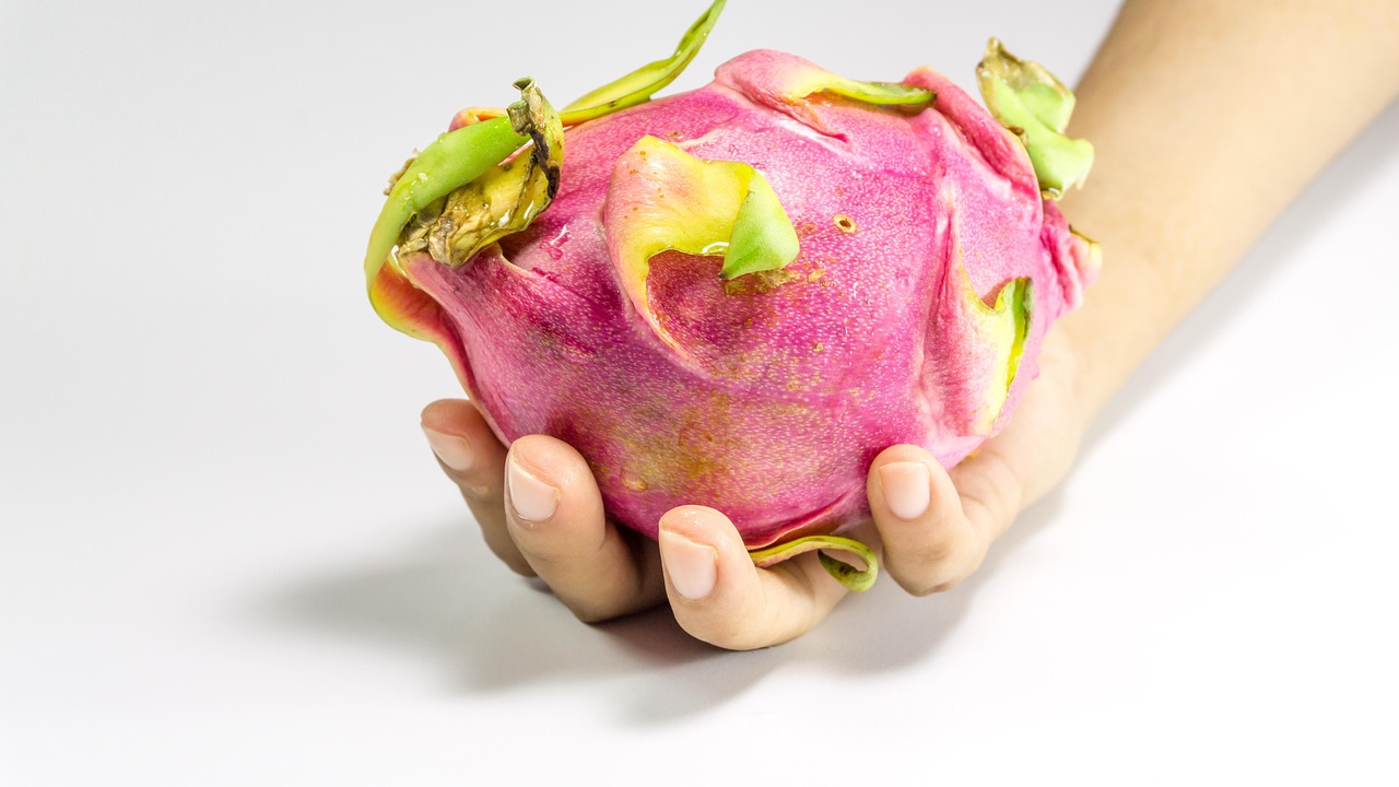 YY主播小白龍最新動(dòng)態(tài)，探索成長(zhǎng)與變化的軌跡