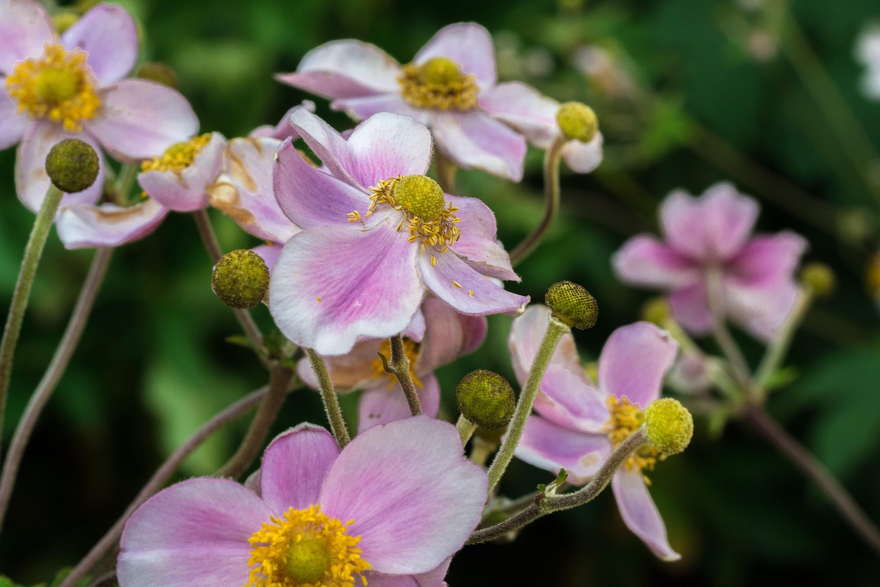 馬刺最新動態(tài)，持續(xù)進化，蓄勢待發(fā)啟航新征程