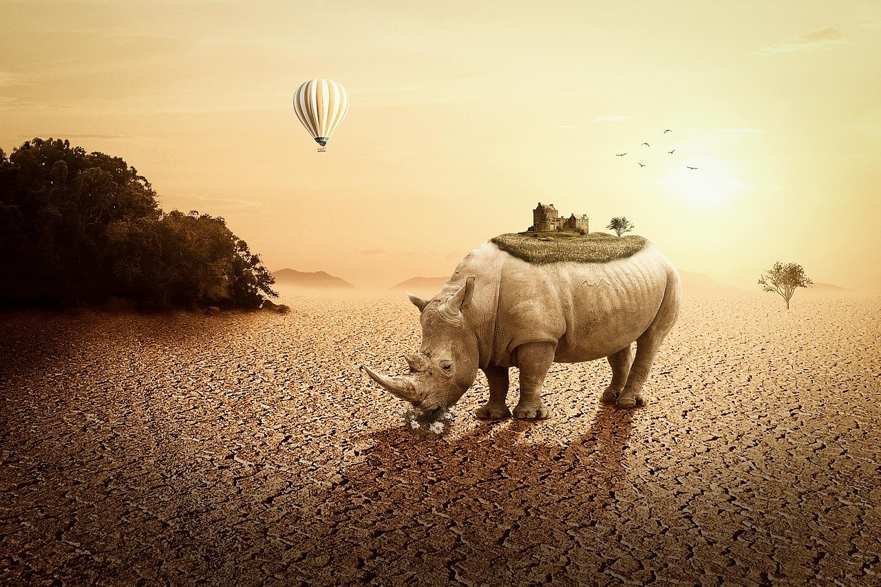 高陽最新樓盤信息全面解析，最新房源、動(dòng)態(tài)及優(yōu)惠一網(wǎng)打盡！