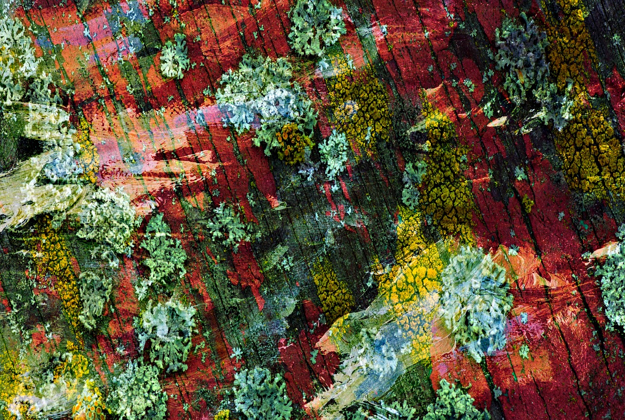 自然與現(xiàn)代交融的山野雜家新風貌，鄉(xiāng)村新篇章