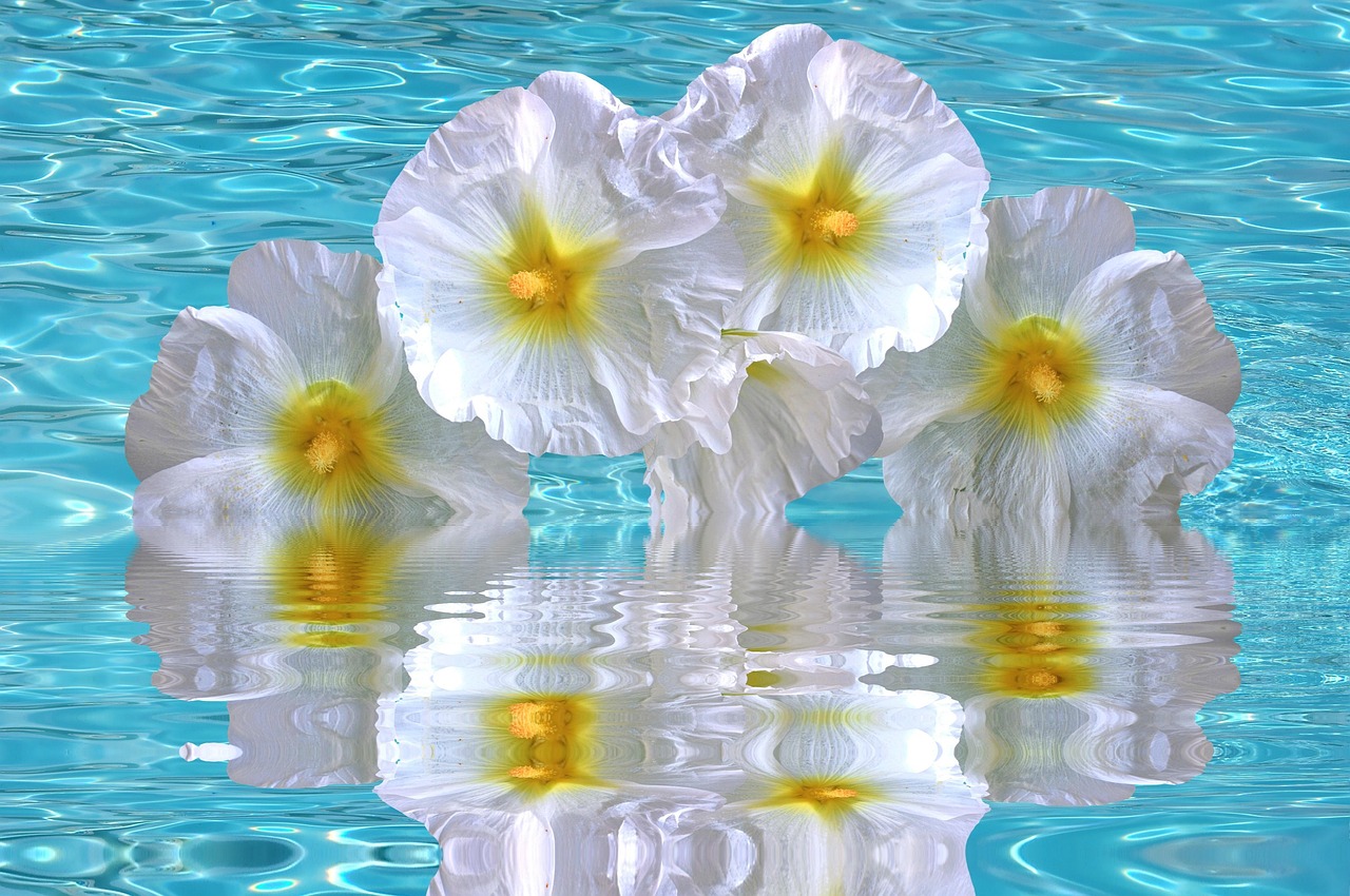 加勒比海域動態(tài)更新，海盜活動頻繁，警惕性需提升（最新報告 06月15日）