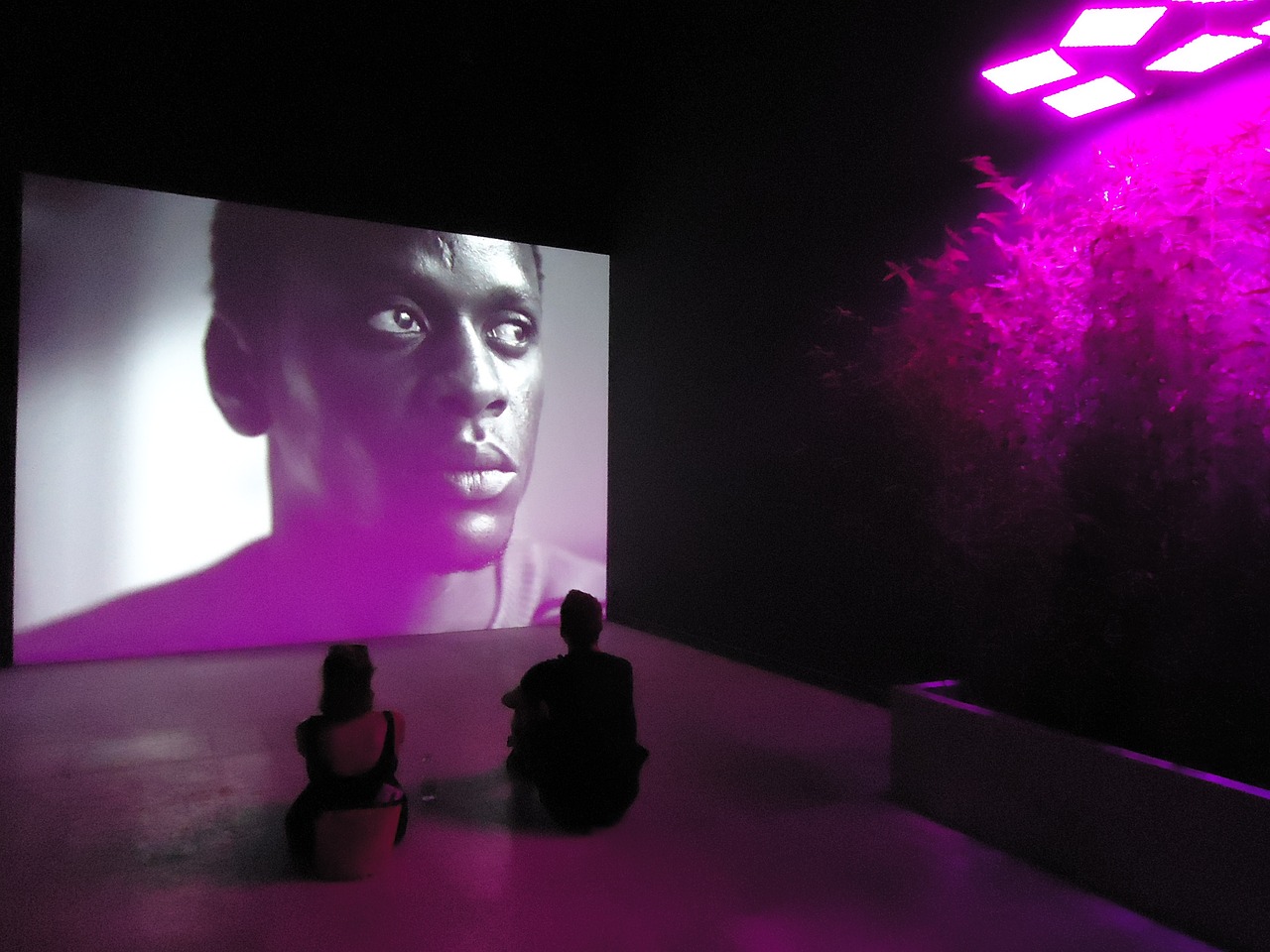 最新首映網(wǎng)，引領(lǐng)觀影潮流，打造電影愛(ài)好者首選平臺(tái)