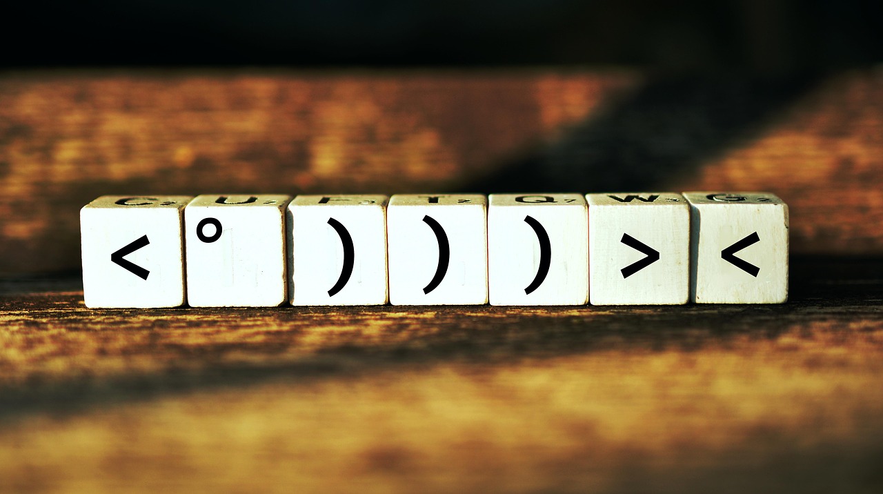 揭秘武警最新肩章，榮譽(yù)與職責(zé)的象征標(biāo)志