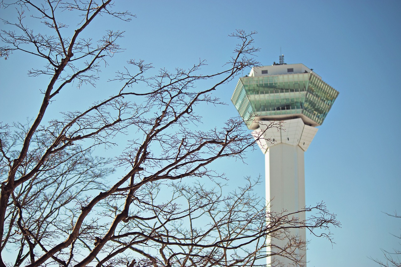 決斗之城最新動(dòng)態(tài)，新時(shí)代卡牌競(jìng)技盛宴揭秘